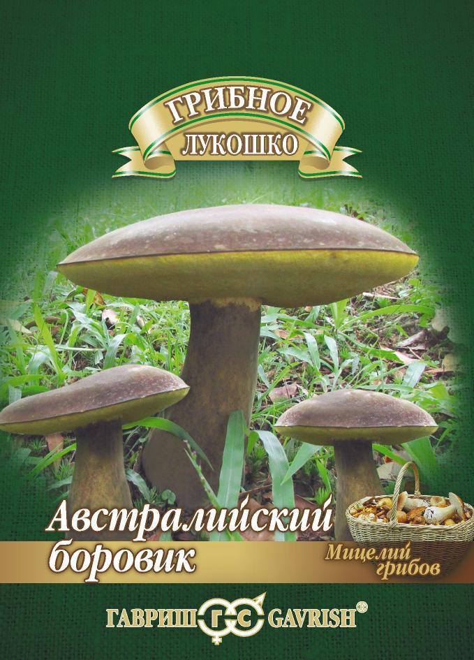 Мицелий Боровик австралийский гриб на зерновом субстрате 15 мл  #1