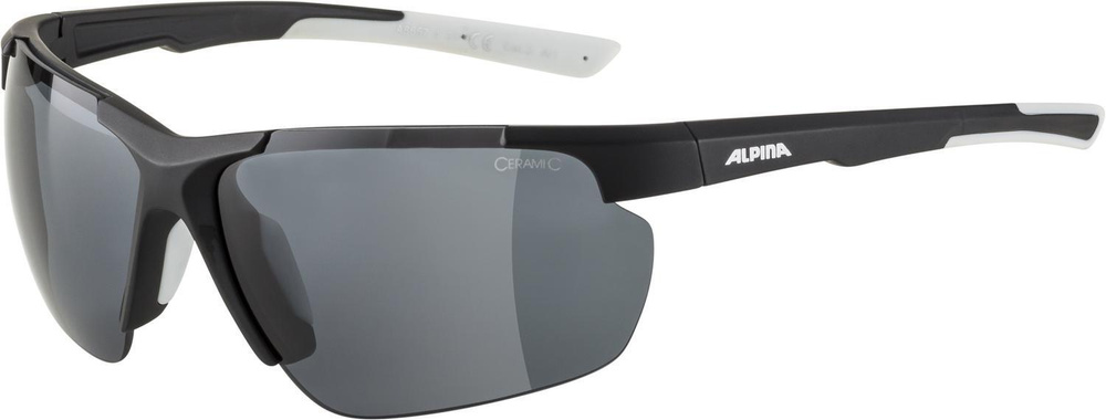 Очки солнцезащитные ALPINA Defey HR (черно-белый матовый) A8657_31  #1