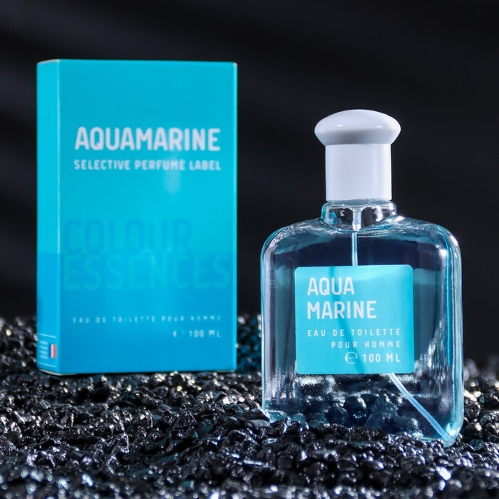 Туалетная вода мужская "Aquamarin", 100 мл #1