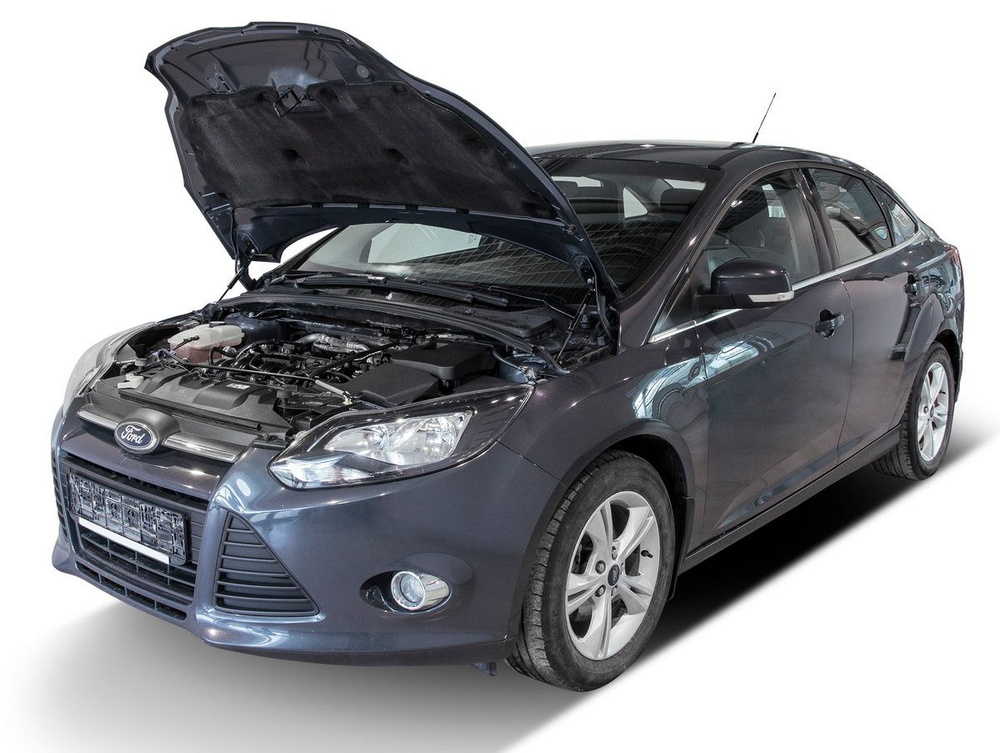 Газовые упоры капота АвтоУпор для Ford Focus III 2011-2019, 2 шт., UFDFOC021  #1