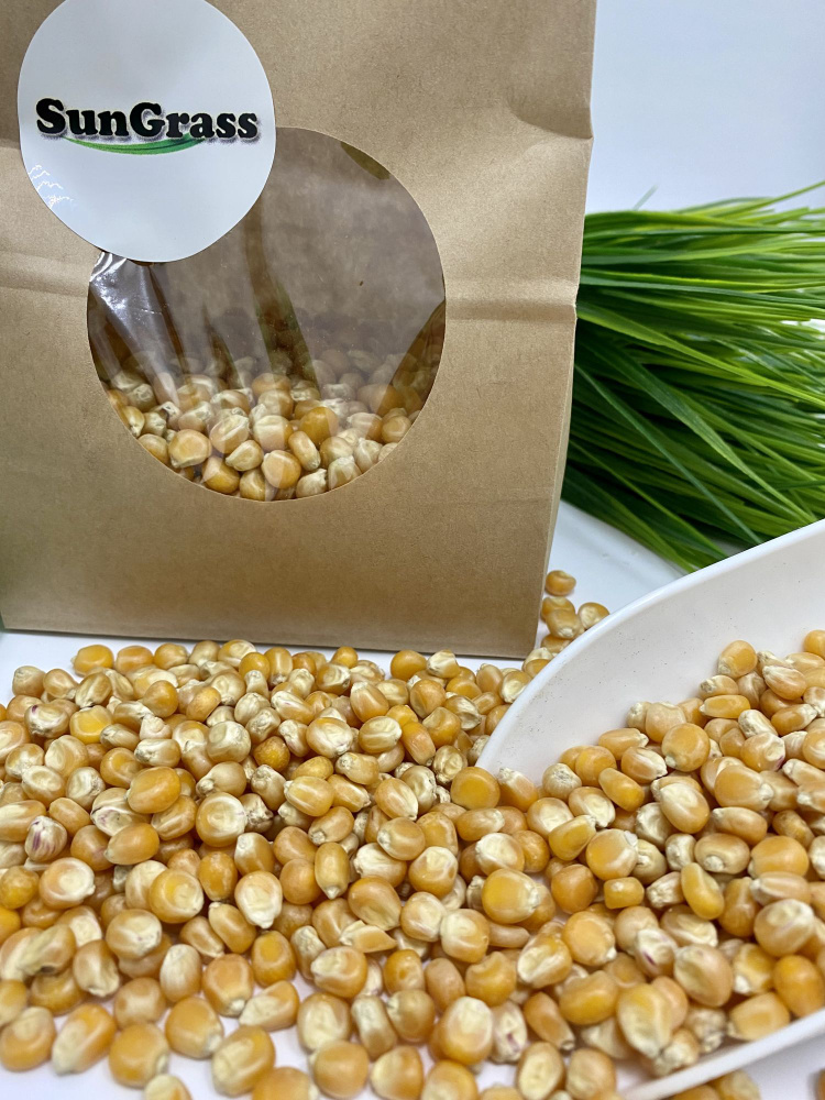 SunGrass / Зерно кукурузы для попкорна - 2 кг / Premium, бабочка #1