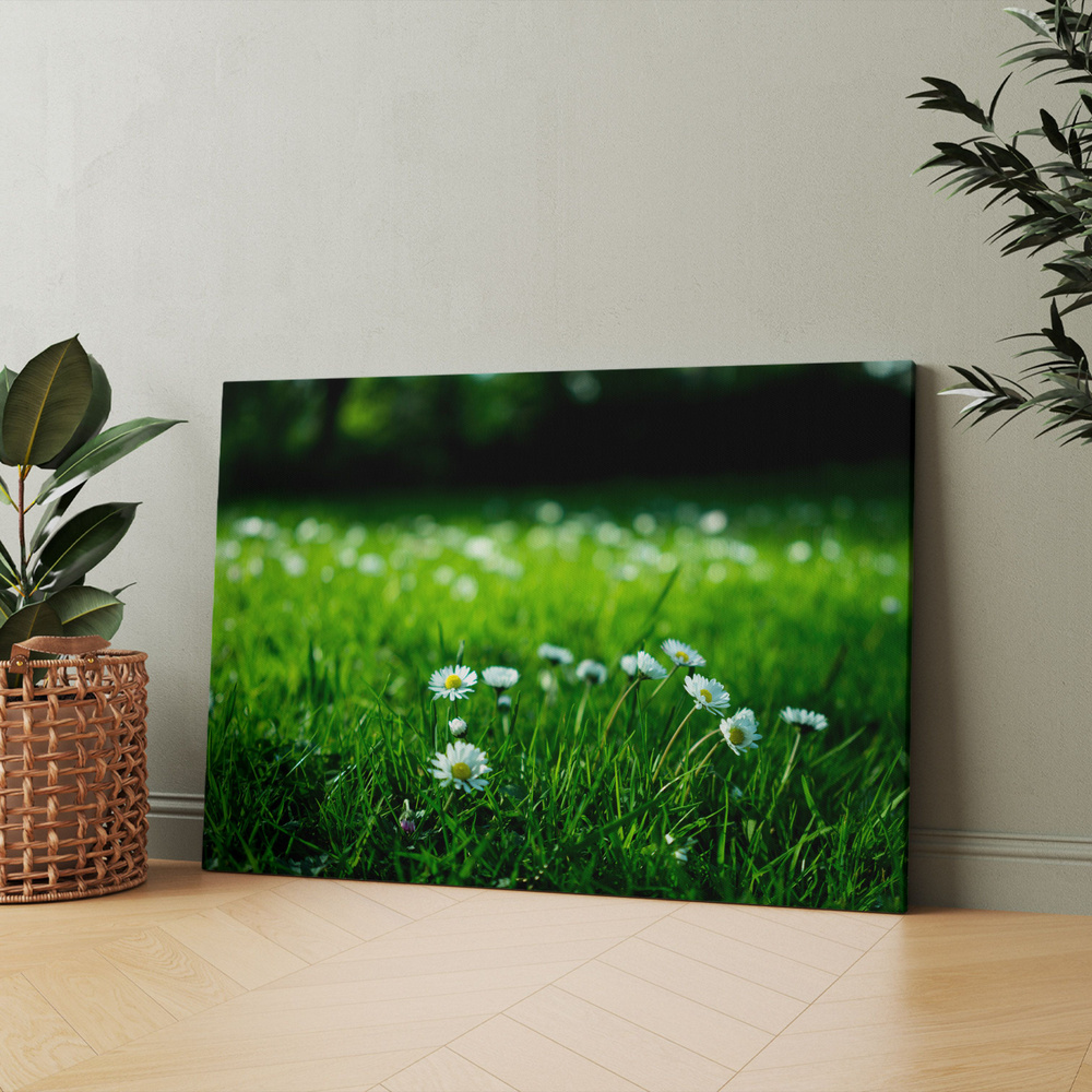 Картина на холсте (трава полянка природа ромашки) 20x30 см/для интерьера/в комнату/на стену/в подарок #1
