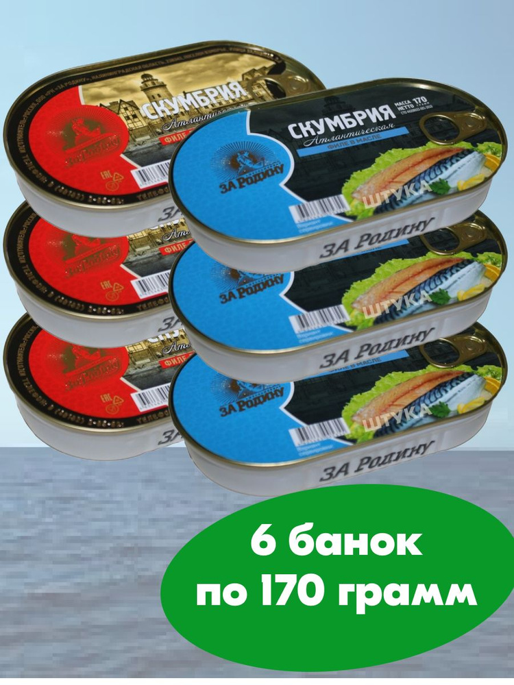 Скумбрия За Родину филе в масле и в томатном соусе 6 банок по 170 г  #1