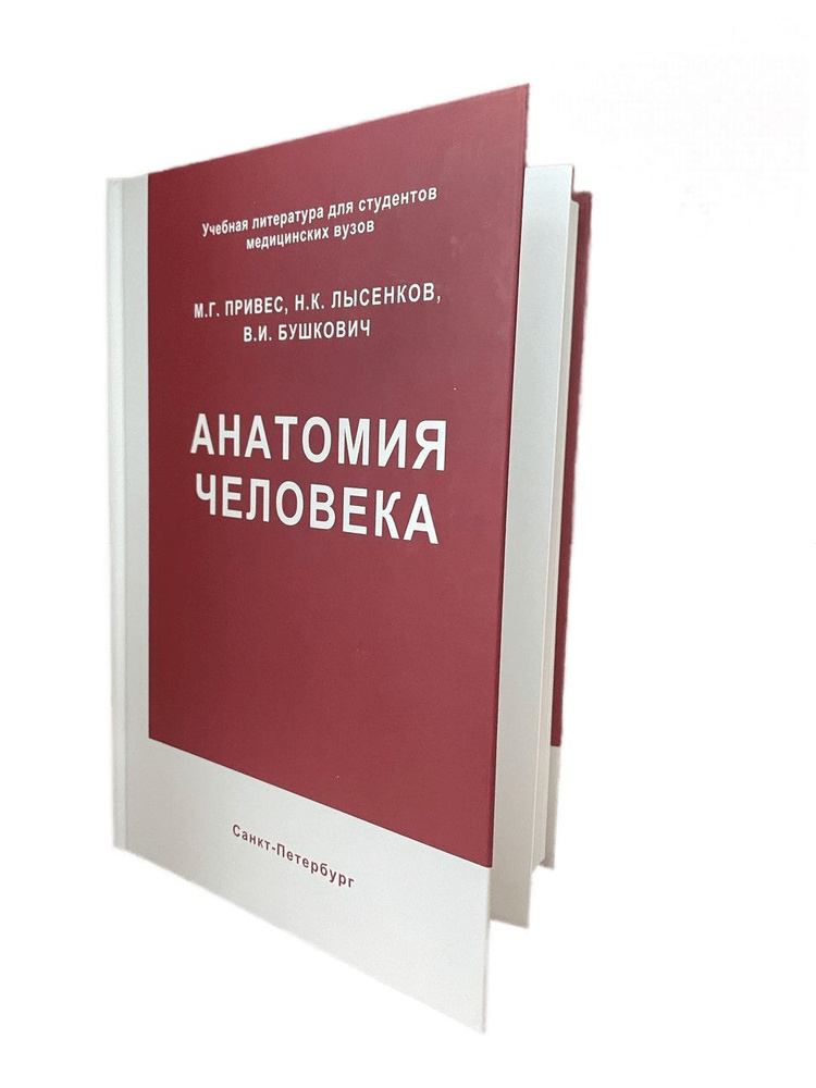 Анатомия человека. Привес М.Г. | Привес Михаил Григорьевич, Лысенков Николай Константинович  #1