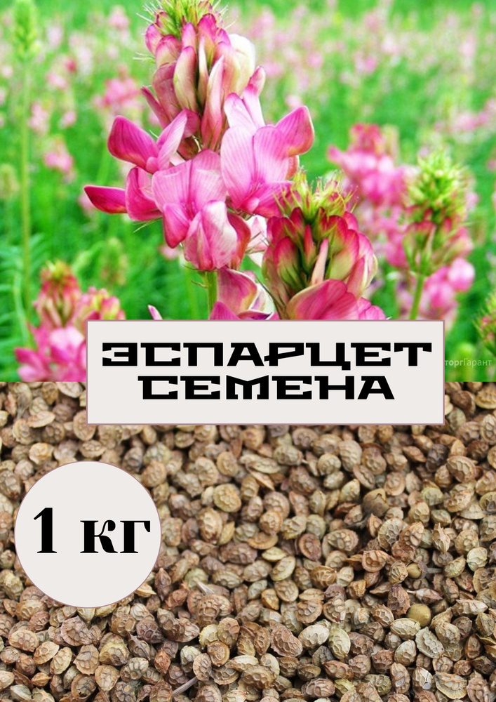 Семена эспарцет 1 кг "С Алтайских полей" #1