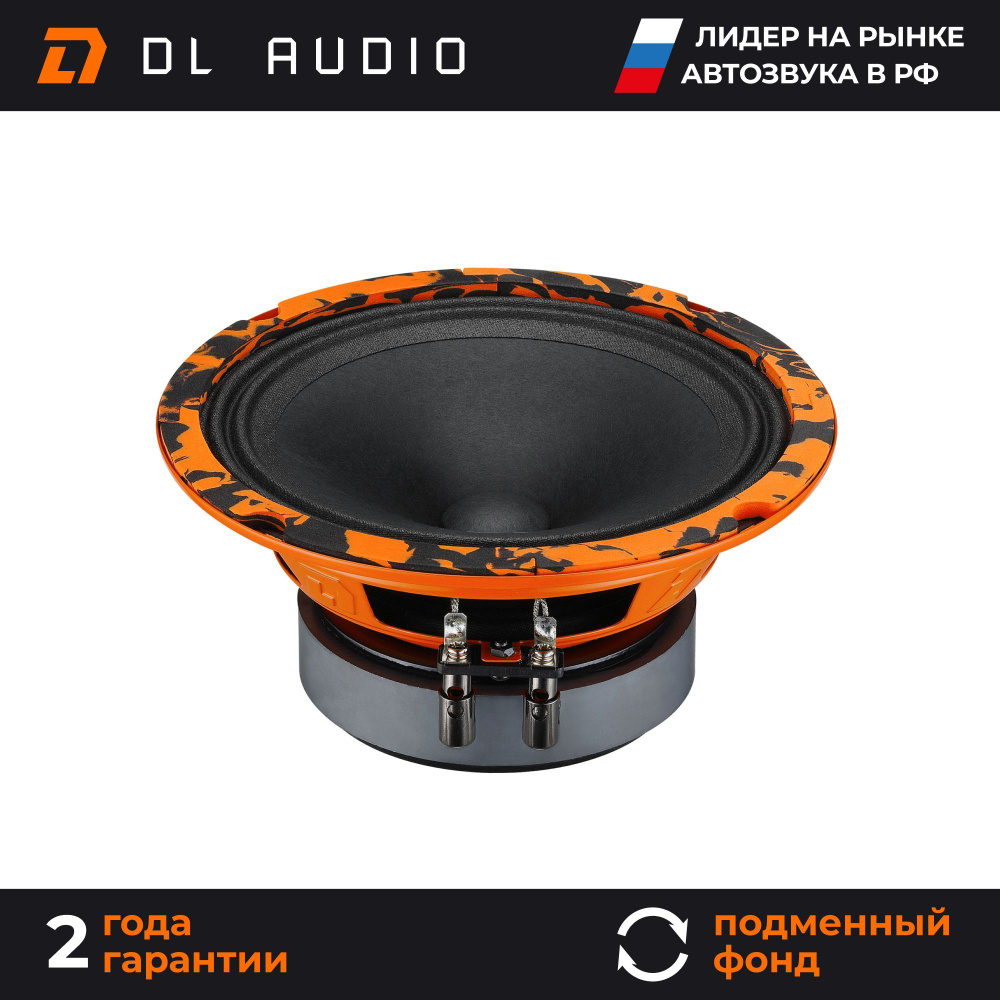 Динамики автомобильные 16 см DL Audio Gryphon Pro 165 пара #1