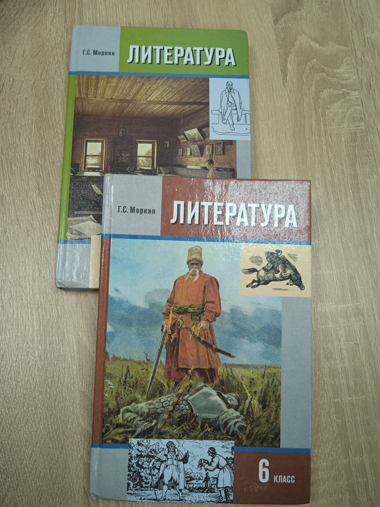 Литература 6 класс. Меркин Г. С. | Меркин Геннадий Самуйлович  #1