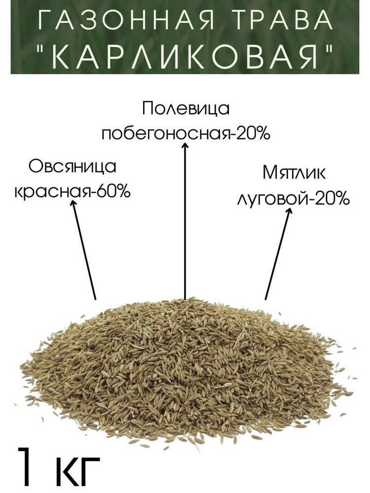 Газонная Трава "Карликовая" #1