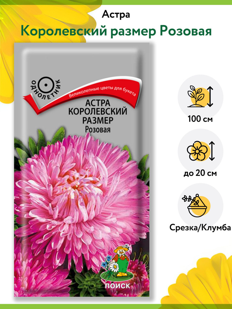 Астра Королевский размер Розовая (1 упаковка - 0,1 г). Семена однолетних цветов для сада, клумбы, срезки, #1