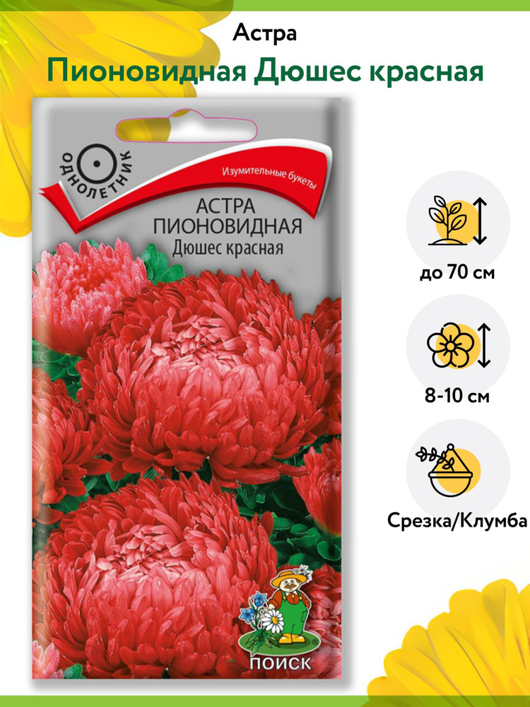 Астра Пионовидная Дюшес красная (1 упаковка - 0,3 г). Семена однолетних цветов для сада, клумбы, срезки, #1