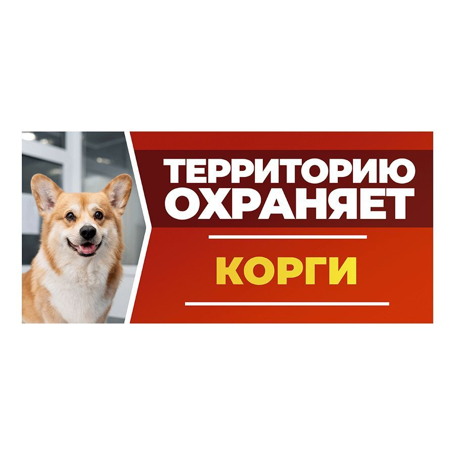 Табличка, DANGER DOG, Корги, на забор, 30см х 14см #1