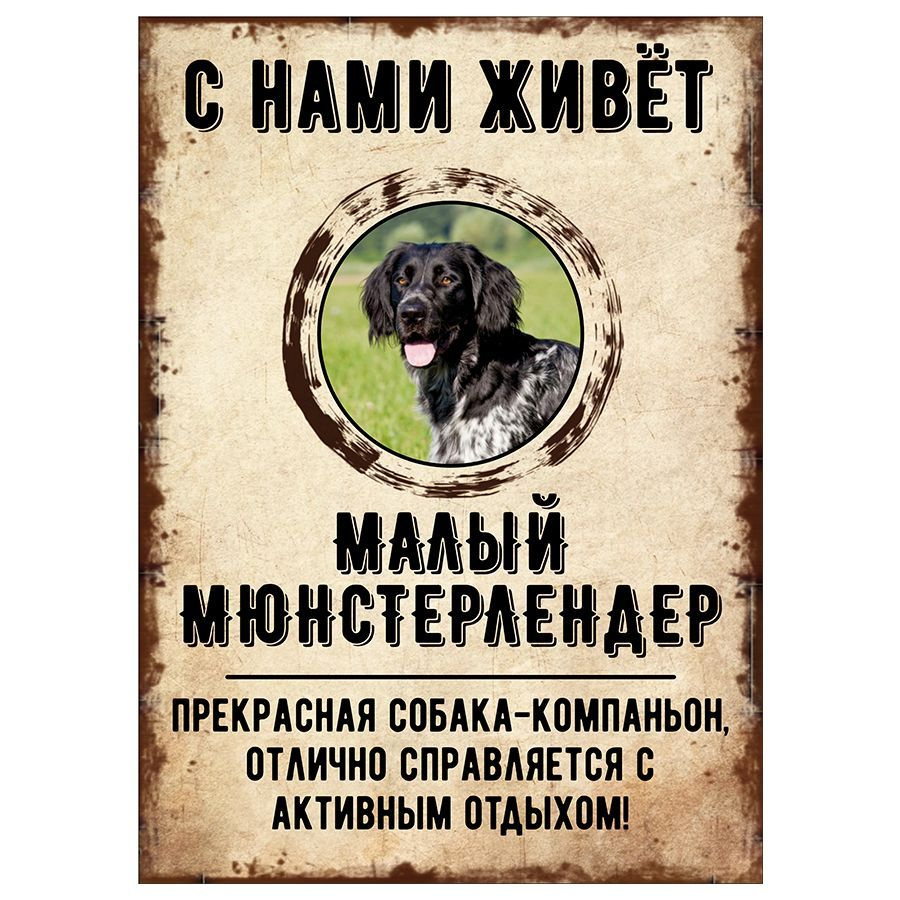 Табличка, декоративная, DANGER DOG, С нами живет Малый мюнстерлендер, 18см х 25см  #1