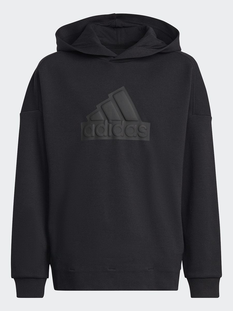 Худи adidas Sportswear U Fi Logo Hd #1