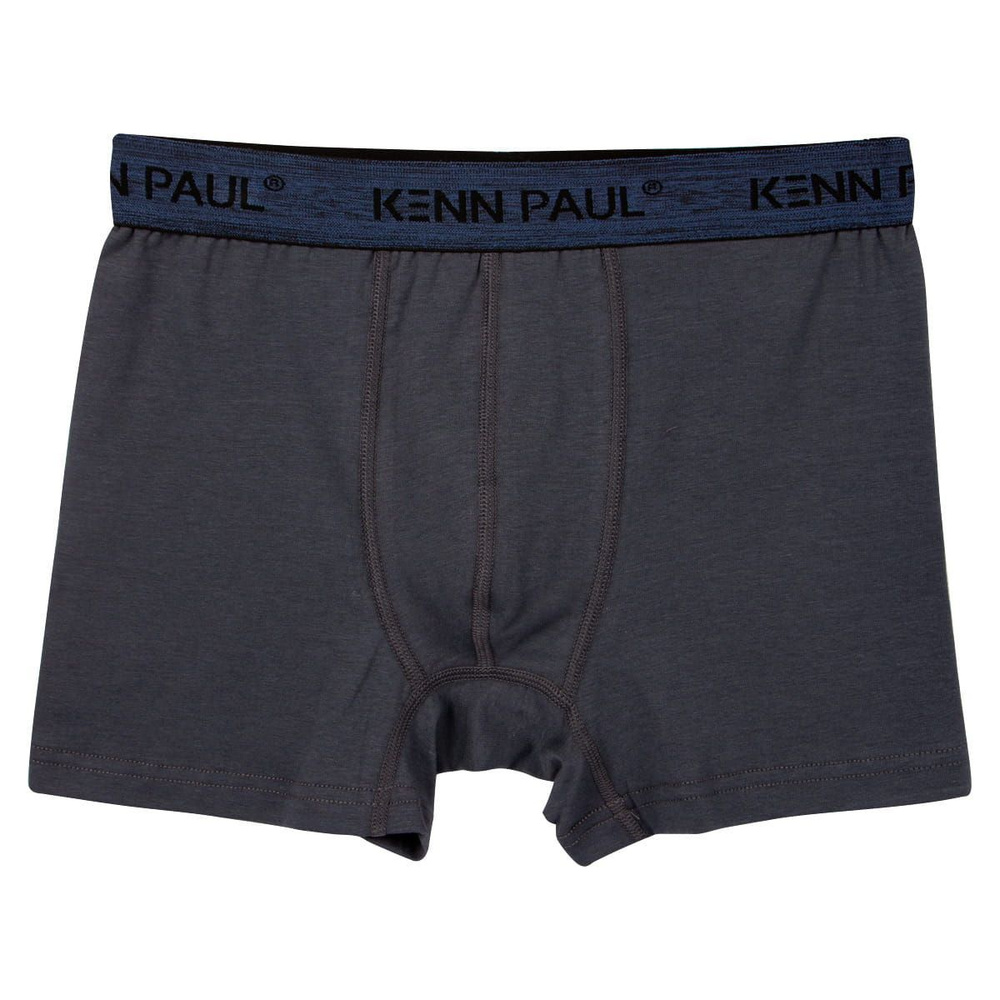 Трусы боксеры KENN PAUL, 1 шт #1