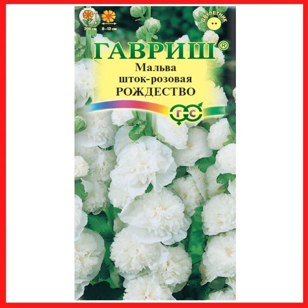 Семена Мальва "Рождество" 0,1 гр, двулетние цветы для дома и дачи, сада и огорода, клумбы, из семян, #1