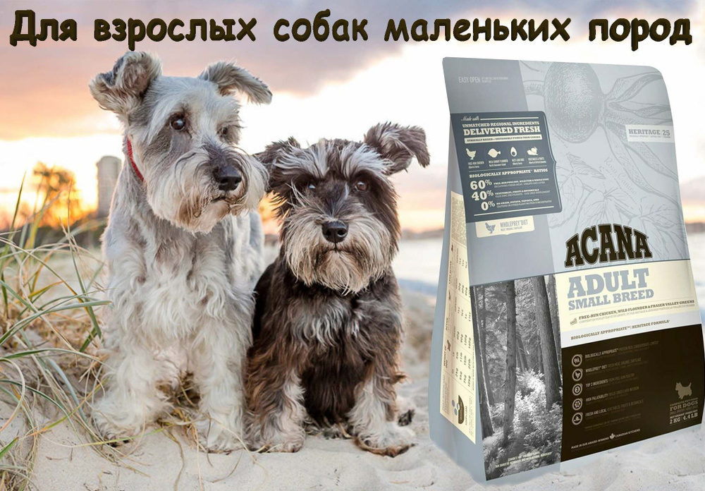 Сухой беззерновой корм Acana Dog Adult Small Breed 0.34кг #1