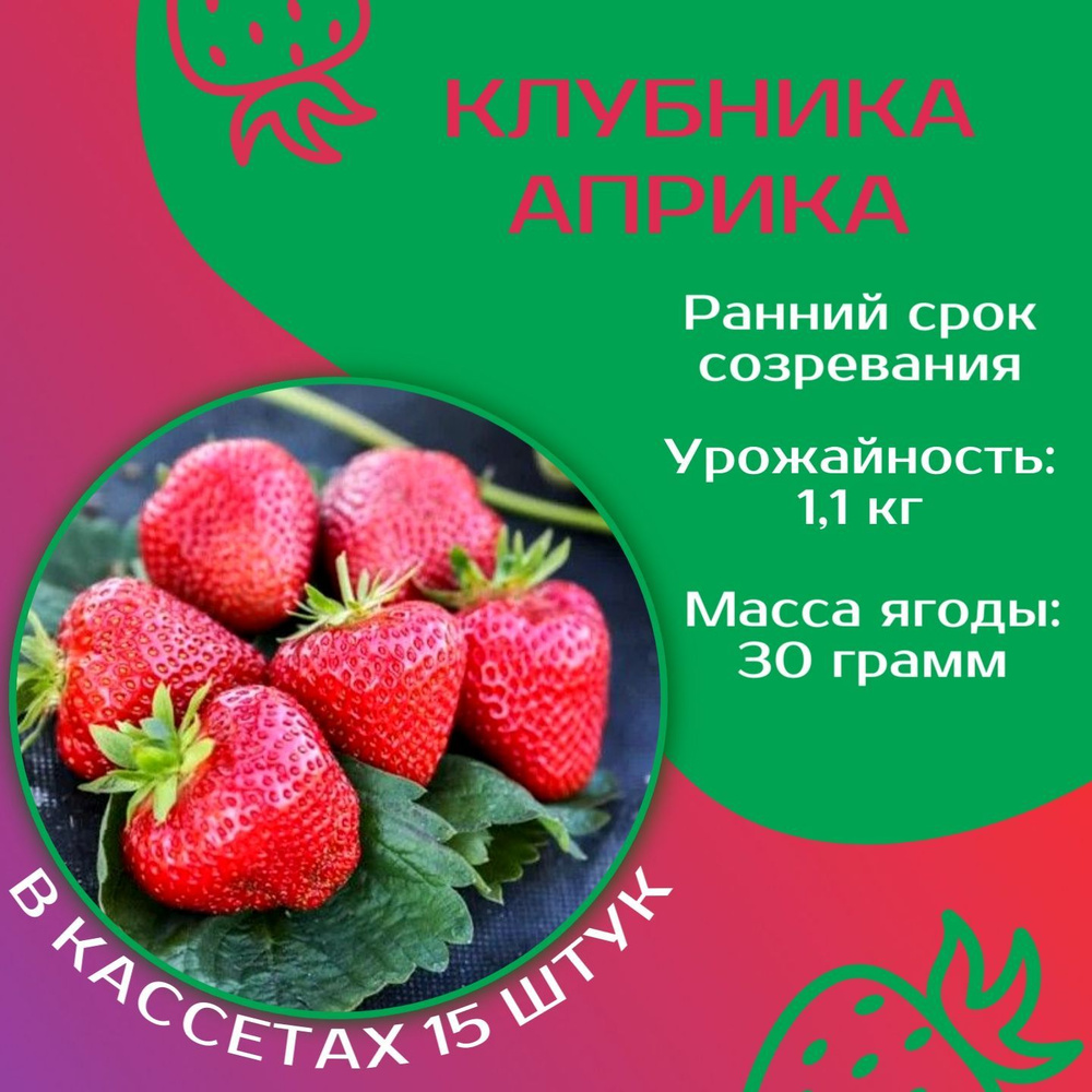 Уникальные черты культуры