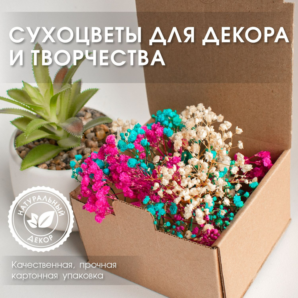 ENiNE decor Сухоцветы Гипсофила, 10 см #1