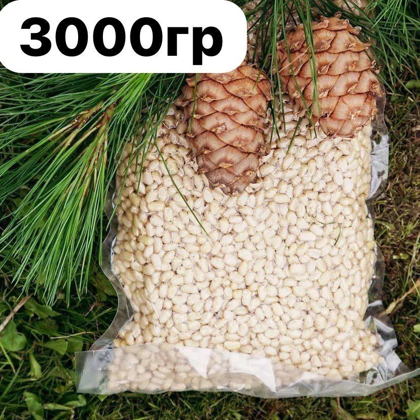 Кедровый орех очищенный 3 кг/ Ядро кедрового ореха 3000 гр  #1