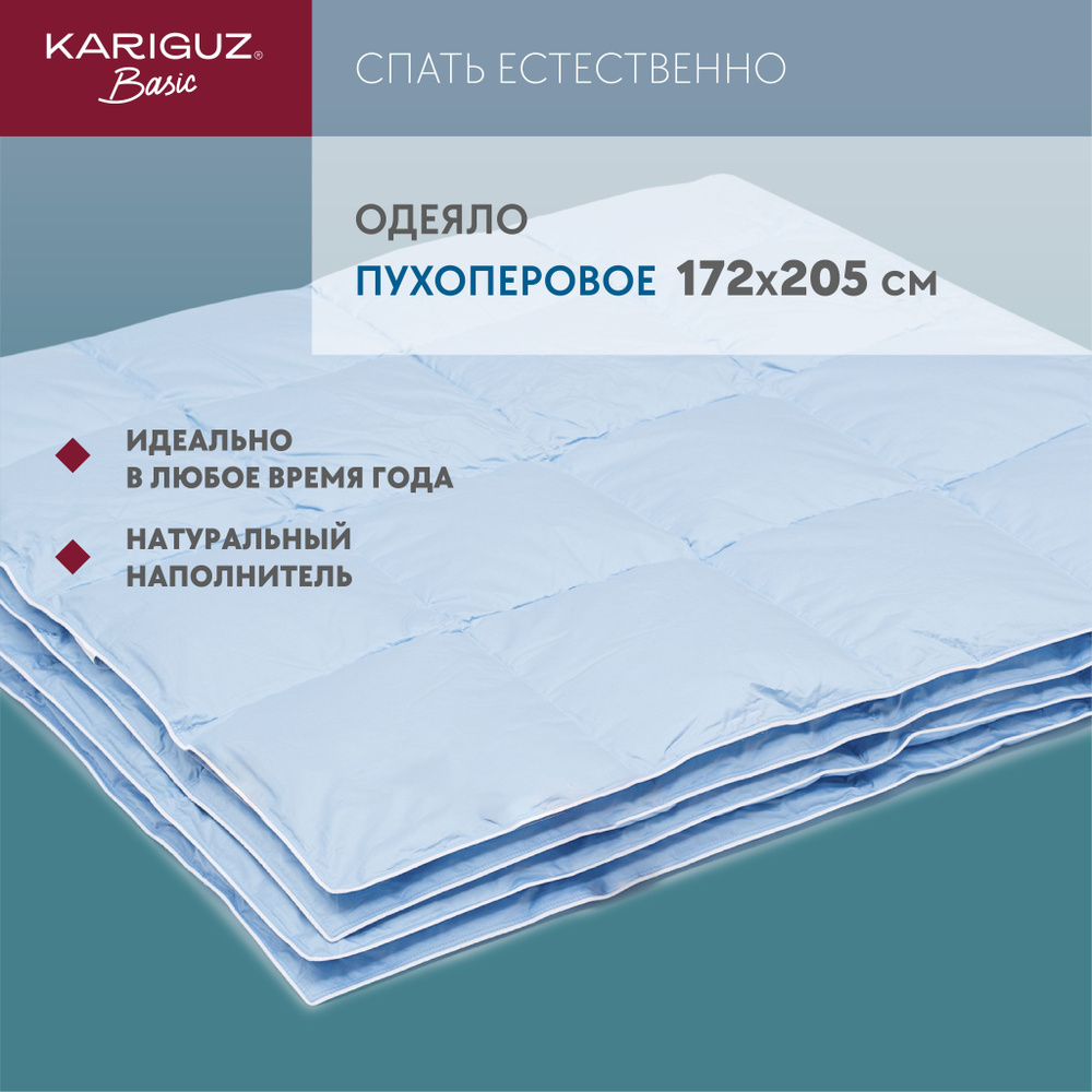 Одеяло двуспальное 172х205 см, 50% пух 50% перо всесезонное #1