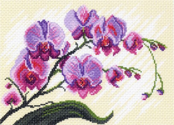 Канва с нанесенным рисунком Матренин Посад "Орхидеи, композиция, 2", для вышивания крестом, 18х25 см #1