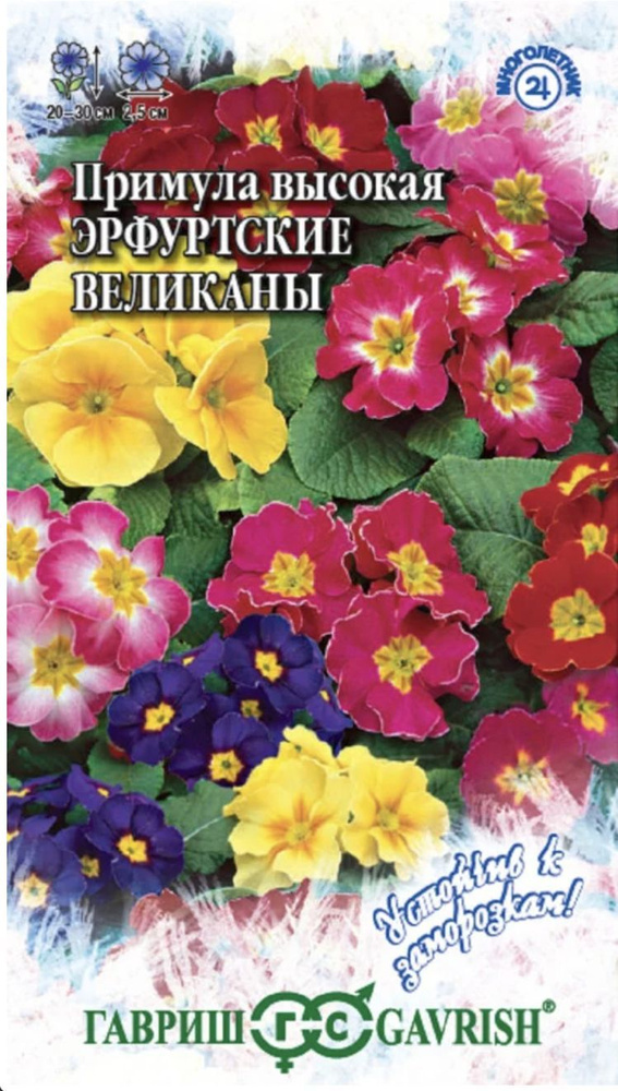 Примула ЭРФУРТСКИЕ ВЕЛИКАНЫ (смесь), 1 пакет, семена 20 шт, Гавриш  #1