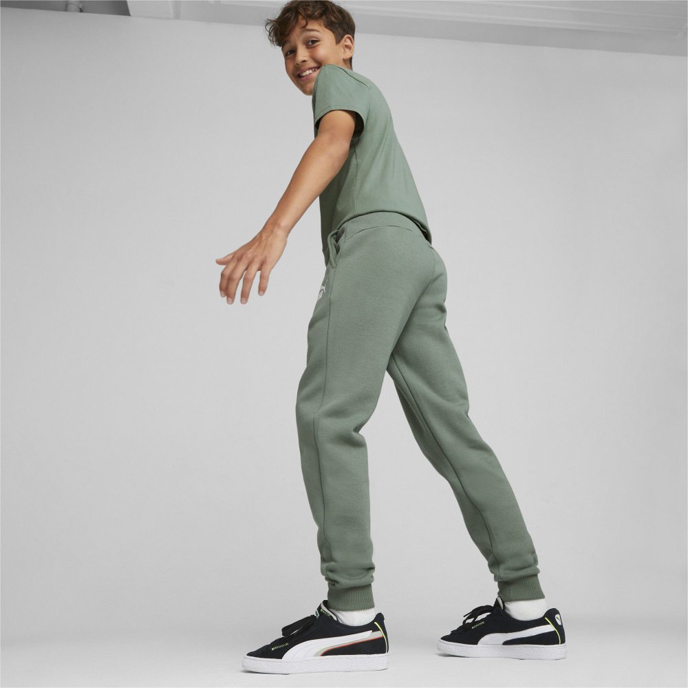 Брюки спортивные PUMA Ess Logo Pants #1