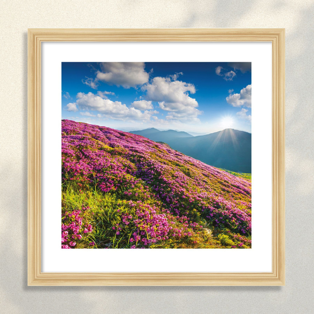 Картина в раме Postermarket "Розовые рододендроны в горах", 40 х 40 см  #1