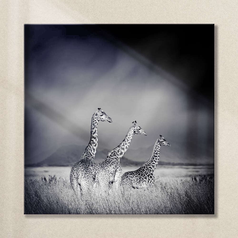 Картина на стекле Postermarket "Жирафы", 30 х 30 см #1