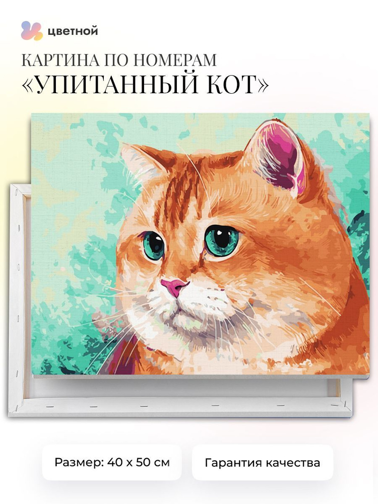 Картина по номерам 40х50 "Упитанный кот" #1