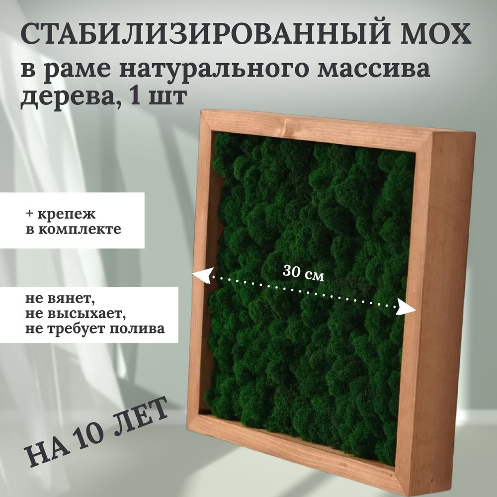 Панно квадрат картина из мха, живой мох в рамке настенное декоративное интерьерное ДУБ  #1