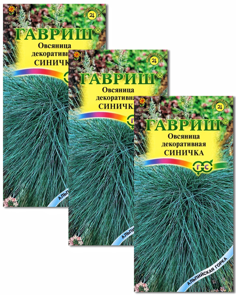 Овсяница декоративная СИНИЧКА , 3 пакета, семена 0,1г, ГАВРИШ, многолетник  #1