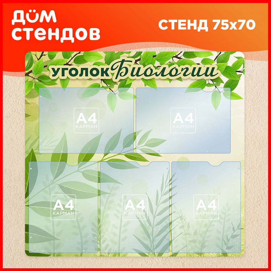 Стенд, информационный, Дом Стендов, Уголок биологии, 75см х 70см, 5 карманов  #1