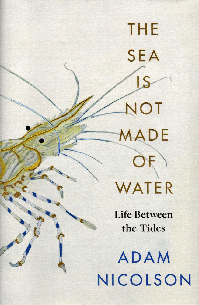 The Sea is Not Made of Water. Life Between the Tides / Nicolson Adam / Книга на Английском | Nicolson #1