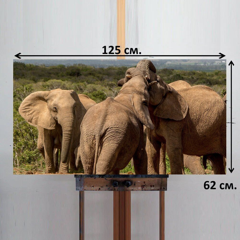 LotsPrints Картина "Слон, млекопитающее, дикая природа 70", 125 х 62 см  #1