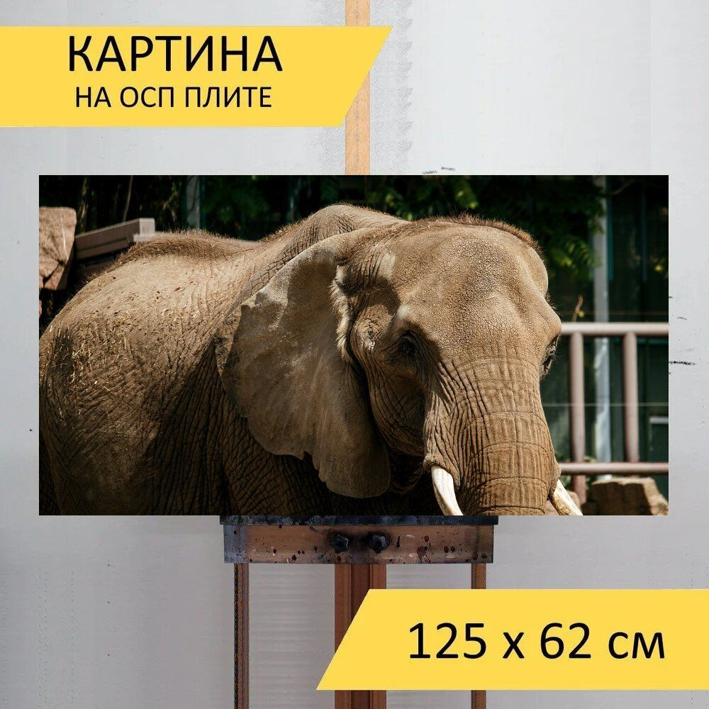 LotsPrints Картина "Слон, млекопитающее, животное 36", 125 х 62 см  #1