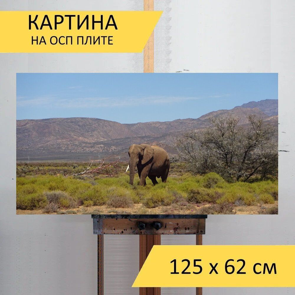 LotsPrints Картина "Слон, толстокожий, фауна 01", 125  х 62 см #1