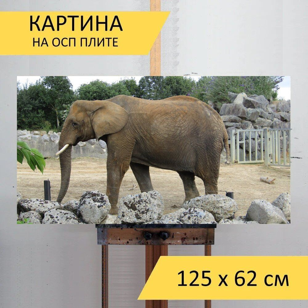 LotsPrints Картина "Слон, зоопарк, ходьба 00", 125  х 62 см #1