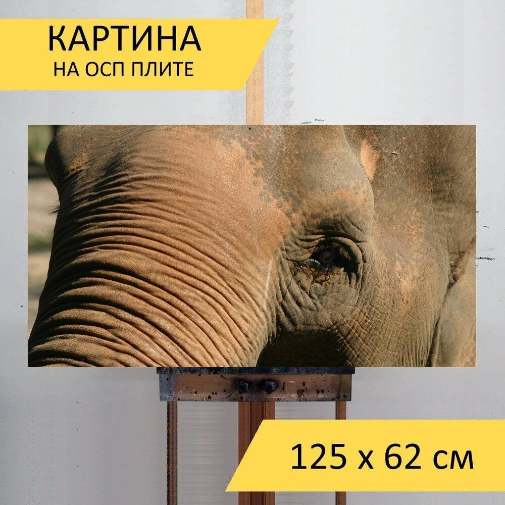 LotsPrints Картина "Слон, глаз, животное 22", 125  х 62 см #1