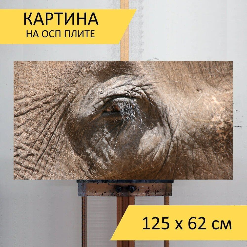 LotsPrints Картина "Слон, глаз, животное 91", 125  х 62 см #1