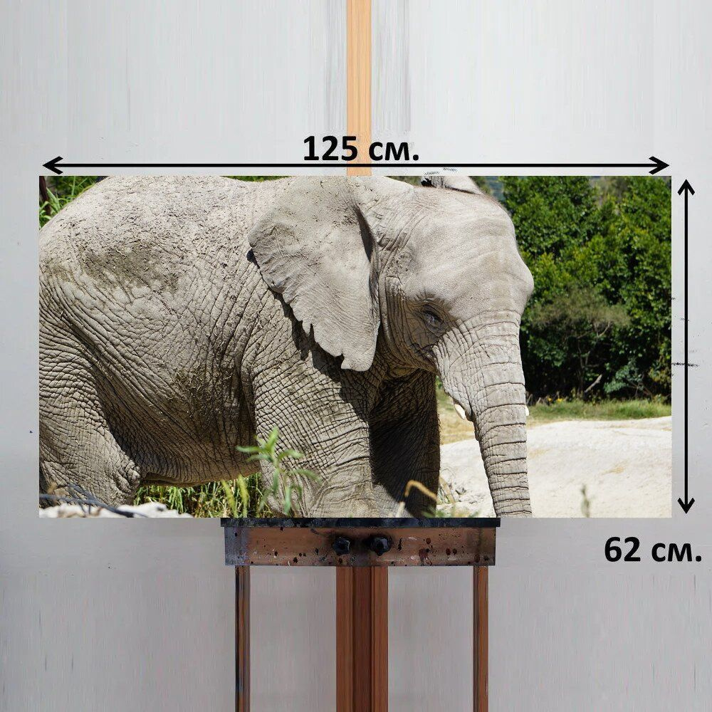 LotsPrints Картина "Слон, млекопитающее, животные 52", 125 х 62 см  #1
