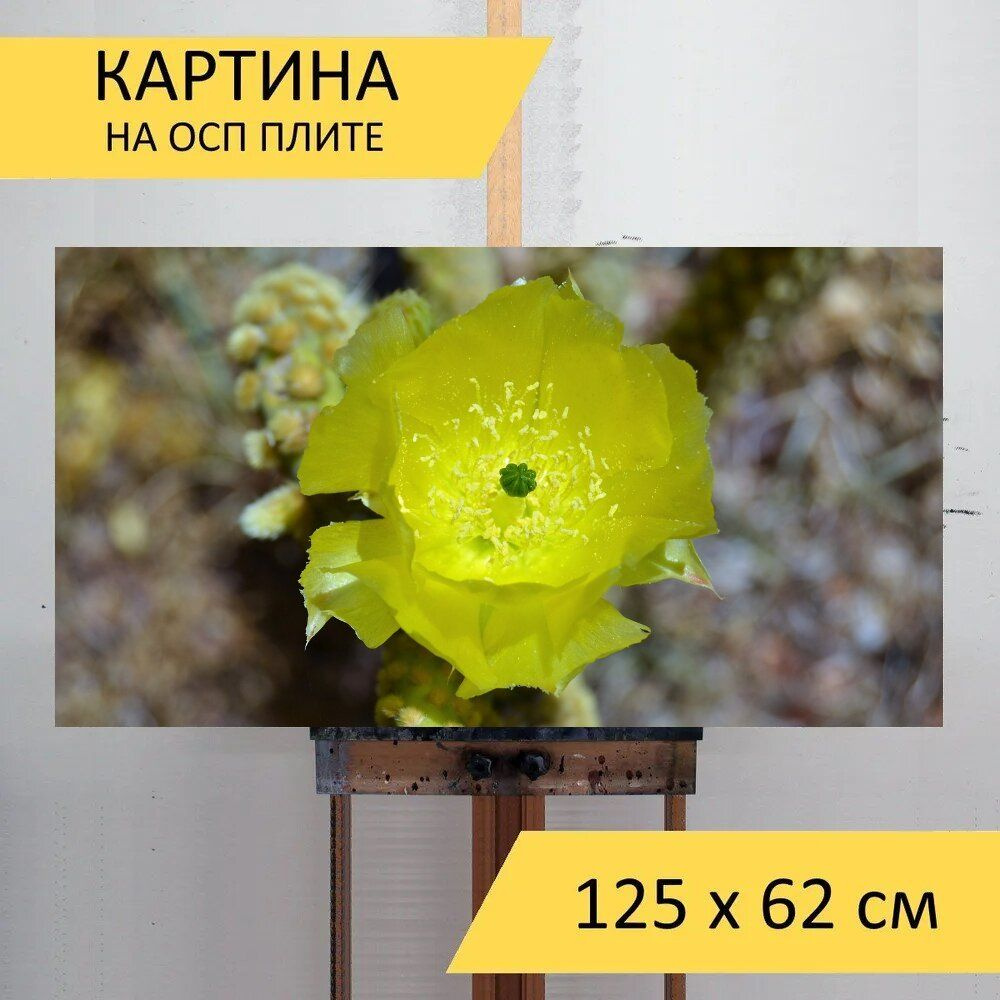 LotsPrints Картина "Кактус, цветы, площадка 36", 125  х 62 см #1