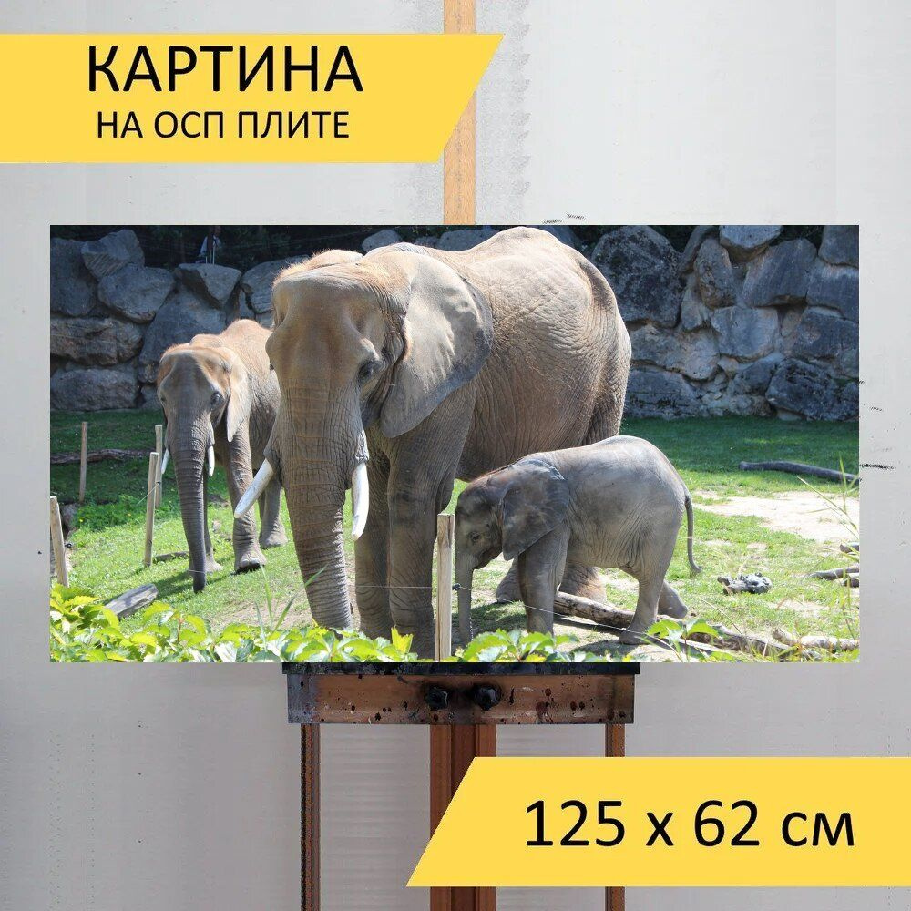 LotsPrints Картина "Слон, зоопарк, африканец 14", 125  х 62 см #1