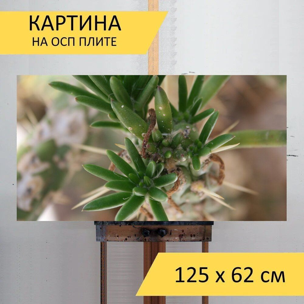 LotsPrints Картина "Кактус, солнечный, грин 67", 125  х 62 см #1