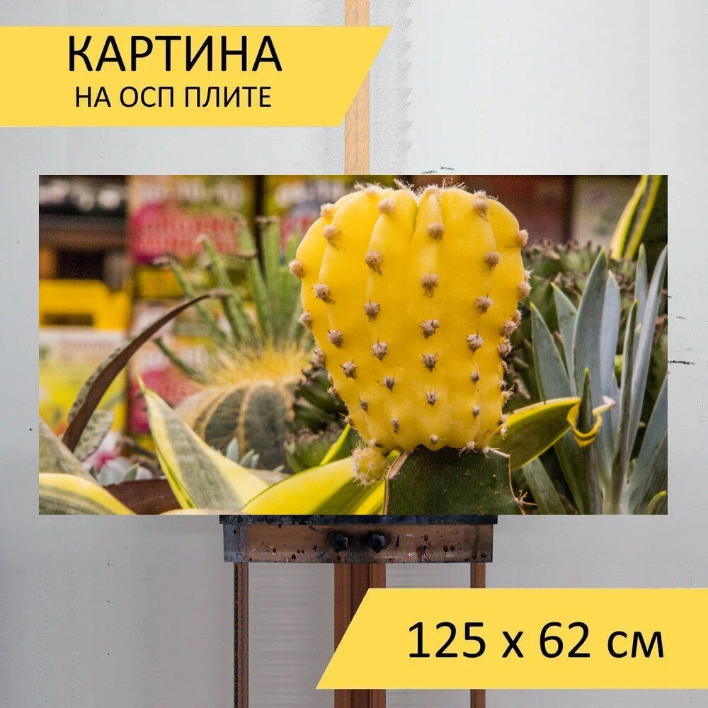 LotsPrints Картина "Кактус, плод кактуса, цветок 63", 125  х 62 см #1