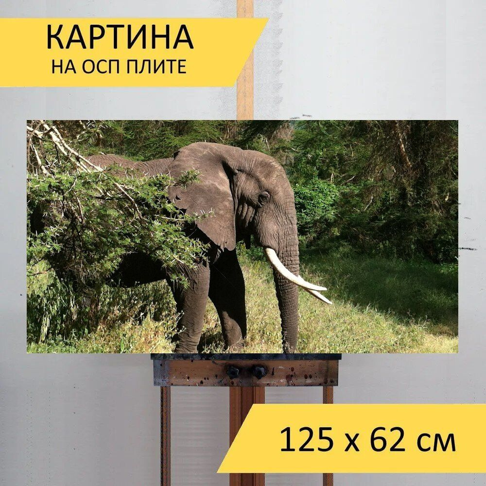 LotsPrints Картина "Слон, животное, дикая природа 90", 125 х 62 см  #1
