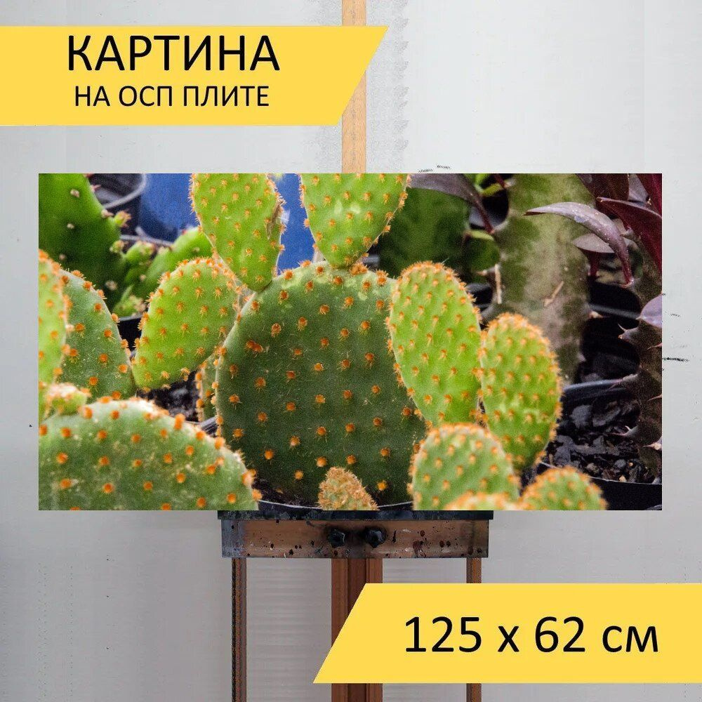 LotsPrints Картина "Кактус, сочные растения, колючий 65", 125 х 62 см  #1