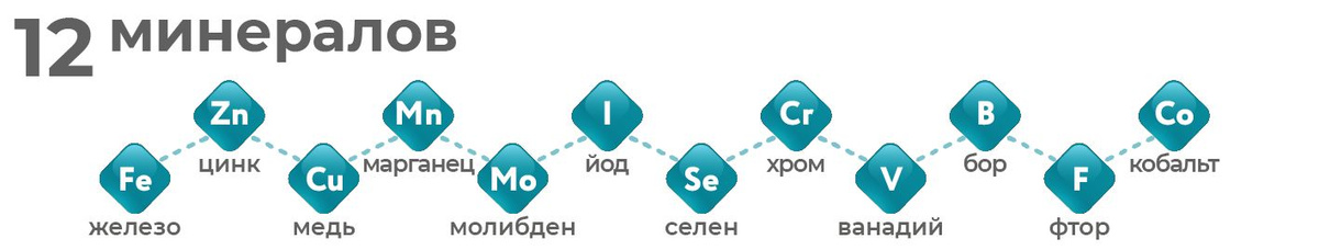 Текстовое описание изображения