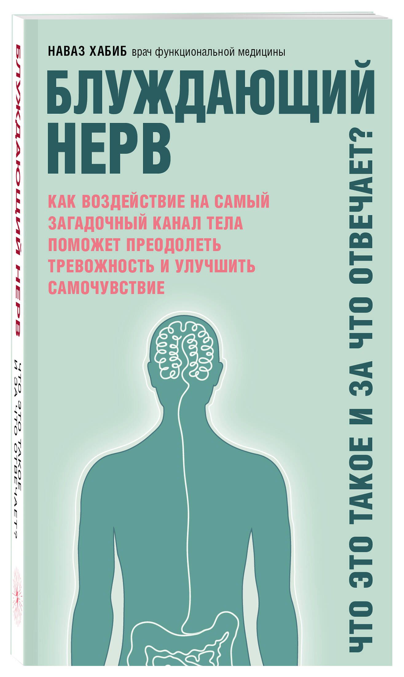 Блуждающий нерв. Что это такое и за что отвечает? | The Vagus Nerve: What It Is and What It Controls - Ozon image 3