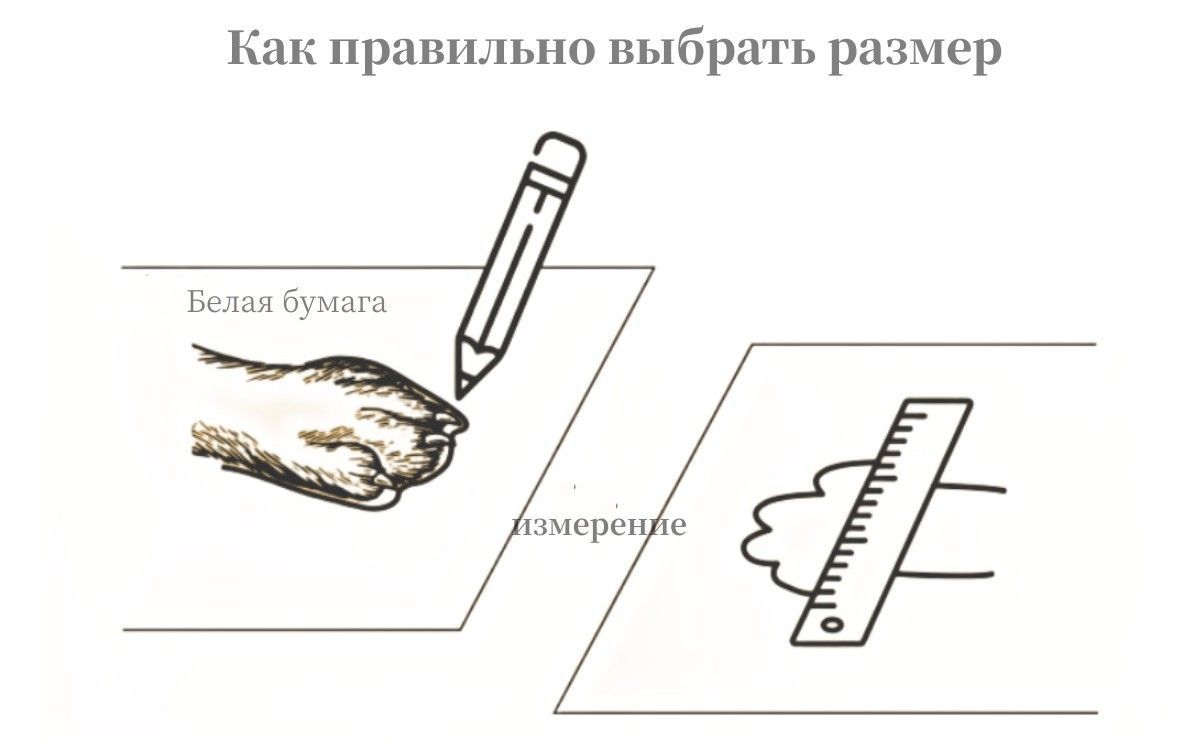 Уличная спортивная обувь для собак, нескользящая эластичная мягкая ...